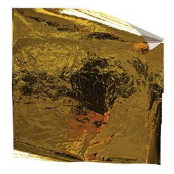 Apollo 11 Kapton Foil