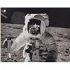 Image 1 : Alan Bean Signed Photograph