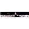 Image 1 : Edgar Mitchell Signed Panorama