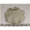 Image 3 : 3) MARY BORGSTROM WILD ROSE. UNGLAZED REPAIRED