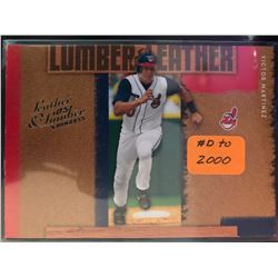 2005-06 Donruss Leather & Lumber Victor Martinez #LL-33