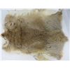 Image 3 : 2 BROWN RABBIT FUR PELTS