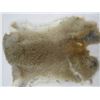 Image 5 : 2 BROWN RABBIT FUR PELTS