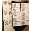 Image 1 : LOT OF 16 AUDUBON SOCIETY POSTCARDS (BIRDS AND FLOWERS OF THE 50 STATES)