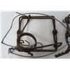 Image 2 : LOT OF 4 CONIBEAR TRAPS