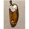 Image 2 : Beautiful Amber Pendant Filled with Insects and Plants Total 4.6 Grams Sterling Silver Clasp