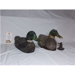 Tuveson Mallard - St James Mn 40's