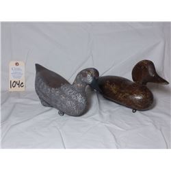 Mallard hen -Evans like