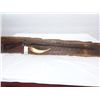 Image 3 : Antique Firearm