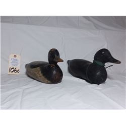decoys