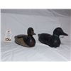 Image 1 : decoys
