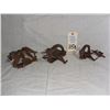 Image 1 : traps