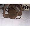 Image 1 : traps
