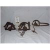 Image 1 : Traps