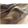 Image 5 : Western Geniune Cast Bronze