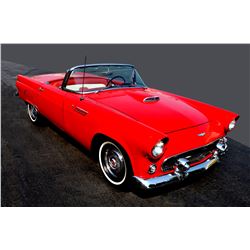 1956 Ford Thunderbird