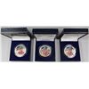 Image 1 : 3 COLORIZED AMERICAN SILVER EAGLES