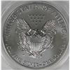 Image 2 : 2013-W AMERICAN SILVER EAGLE