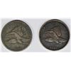 Image 1 : 2-1858 FLYING EAGLE CENTS