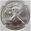 Image 1 : 2019 AMERICAN SILVER EAGLE