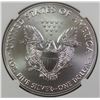 Image 2 : 2019 AMERICAN SILVER EAGLE