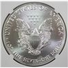 Image 2 : 2017 AMERICAN SILVER EAGLE