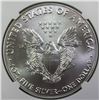 Image 2 : 2017 AMERICAN SILVER EAGLE