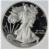 Image 1 : 2014 W AMERICAN SILVER EAGLE