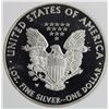 Image 2 : 2014 W AMERICAN SILVER EAGLE