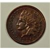 Image 1 : 1886 INDIAN CENT