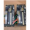 Image 3 : (2) Sanyo Denki PY0A100E0XXYPH1 Hirata Servo Amplifier