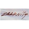 Image 5 : Canadian Oil on Panel Signed SAARNIIT Landscape