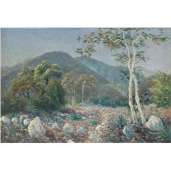 Signed Calif. H Jaeger Oil on Canvas Landscape