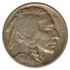 Image 1 : 1924 Buffalo Nickel Coin