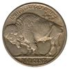 Image 2 : 1924 Buffalo Nickel Coin