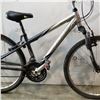 Image 2 : BLACK GREY TREK BIKE
