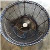 Image 2 : 2 PRAWN TRAPS