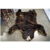 Image 1 : BEAR SKIN RUG