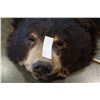 Image 2 : BEAR SKIN RUG