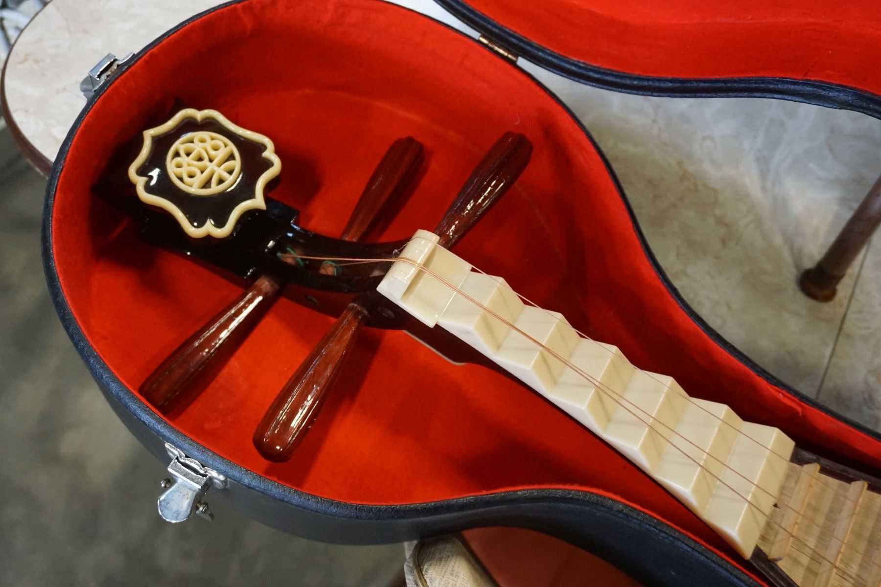 CHINESE YULU INSTRUMENT IN CASE