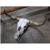 Image 2 : BUFFALO SKULL WITH HORNS