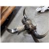 Image 1 : UNIQUE MULTI-HORNED WALL HANGING