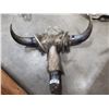 Image 2 : UNIQUE MULTI-HORNED WALL HANGING