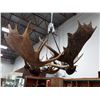 Image 1 : ONE OF A KIND ANTLER RACK CHANDELIER