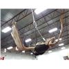Image 3 : ONE OF A KIND ANTLER RACK CHANDELIER