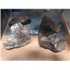 Image 1 : AMMOLITE SAMPLES