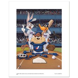 At the Plate (Expos) by Looney Tunes