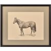 Image 1 : R. Morris Patterson Horse Original Pencil Drawing