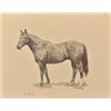 Image 2 : R. Morris Patterson Horse Original Pencil Drawing