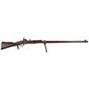 Image 1 : Malherbe Fortress Rifle